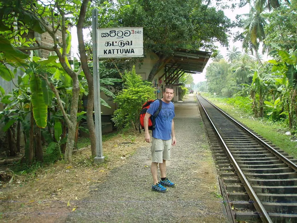 בית הארחה נגומבו Patrick Holiday Resort