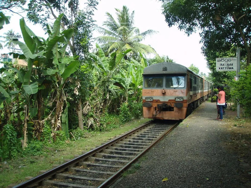 Patrick Holiday Resort Negombo